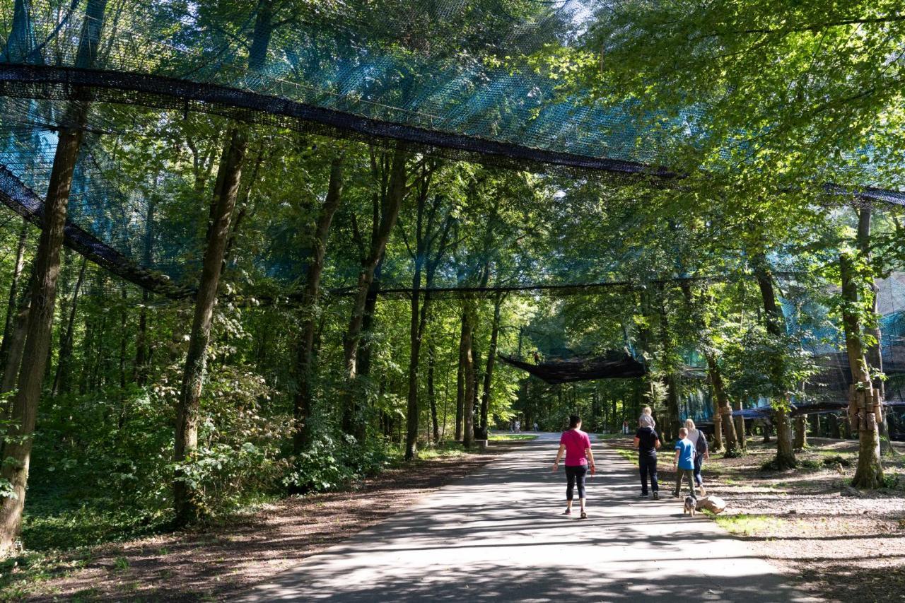 La Residence Du Parc D'Olhain Maisnil-les-Ruitz Kültér fotó